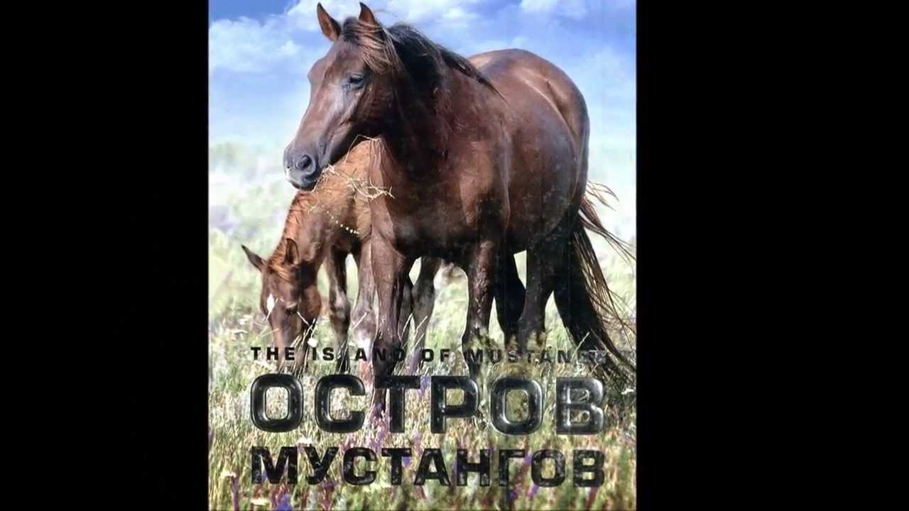Остров мустангов. Удивительные места Ростовской области