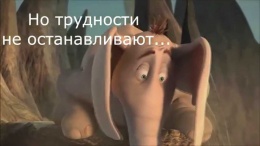 Слон Хортон